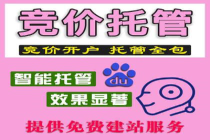 SEM运营中的数据分析和优化案例研究
